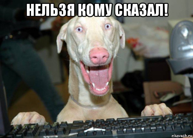 нельзя кому сказал! 
