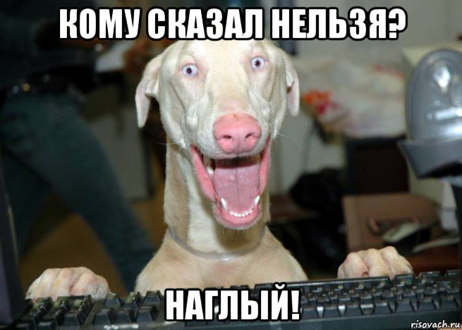 кому сказал нельзя? наглый!