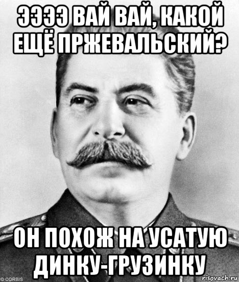 ээээ вай вай, какой ещё пржевальский? он похож на усатую динку-грузинку, Мем  Иосиф Виссарионович Сталин