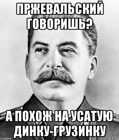 пржевальский говоришь? а похож на усатую динку-грузинку, Мем  Иосиф Виссарионович Сталин