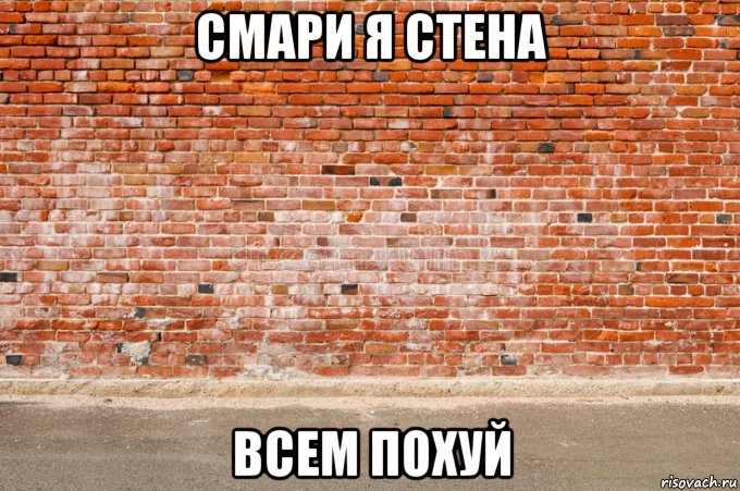 смари я стена всем похуй, Мем Стена