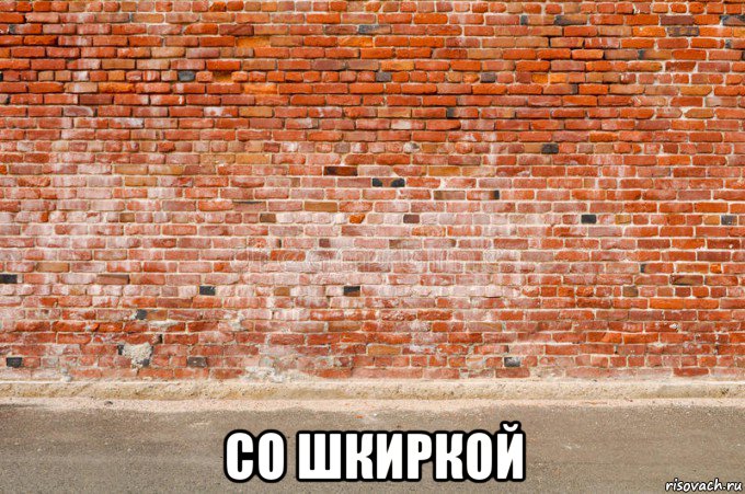  со шкиркой, Мем Стена