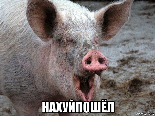  нахуйпошёл