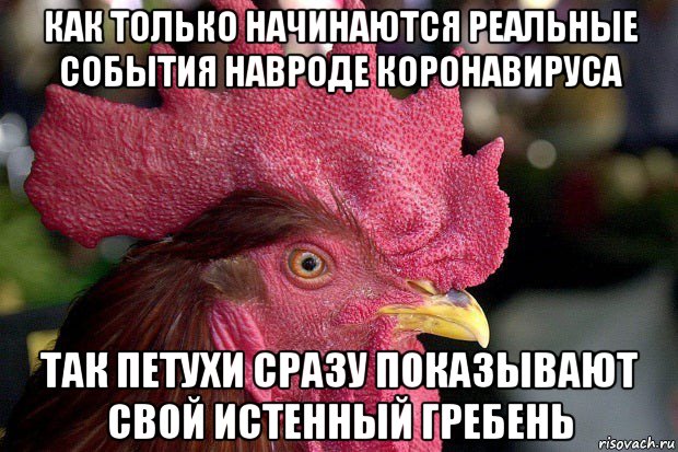 как только начинаются реальные события навроде коронавируса так петухи сразу показывают свой истенный гребень
