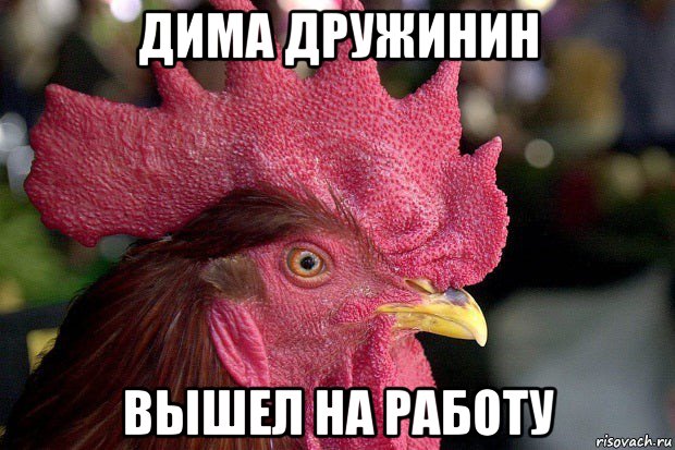 дима дружинин вышел на работу