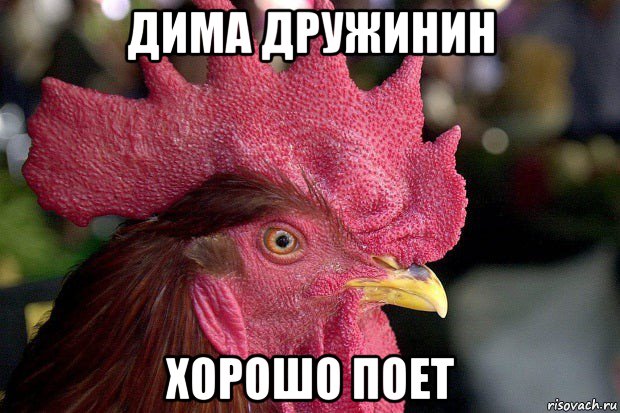 дима дружинин хорошо поет