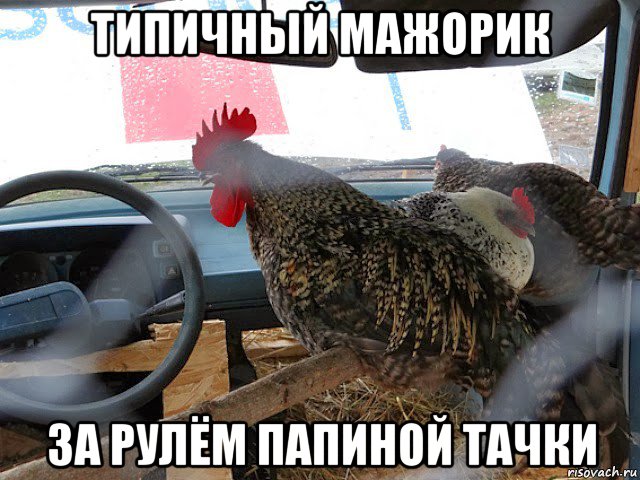 типичный мажорик за рулём папиной тачки
