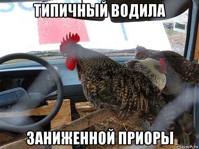 типичный водила заниженной приоры, Мем Типичный петух за рулём