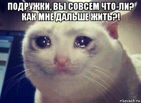 подружки, вы совсем что-ли? как мне дальше жить?! 