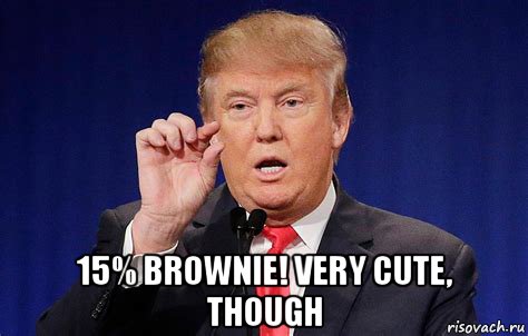  15% brownie! very cute, though, Мем Trump