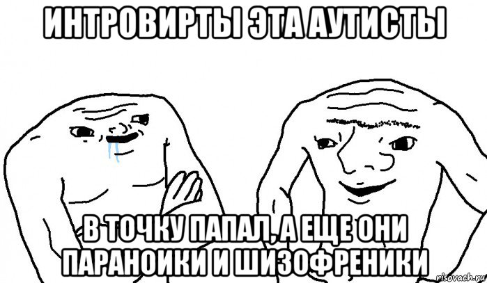 интровирты эта аутисты в точку папал, а еще они параноики и шизофреники, Мем Тупицы