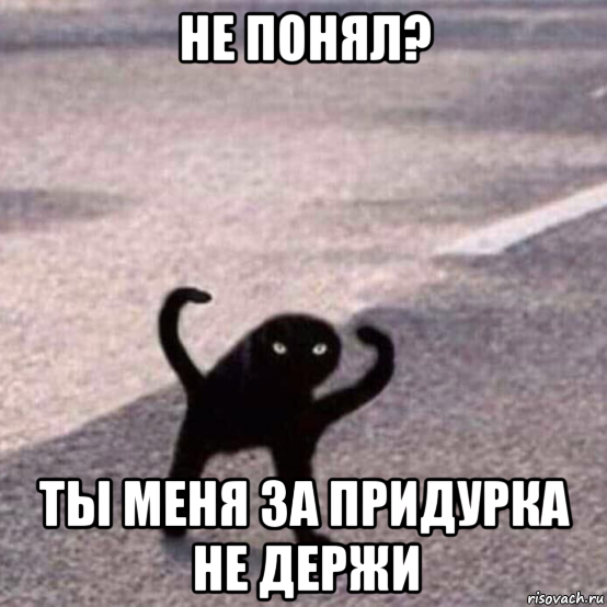 не понял? ты меня за придурка не держи