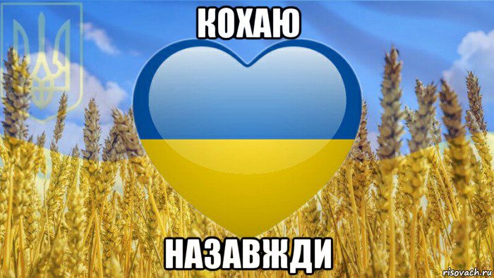 кохаю назавжди, Мем Украина