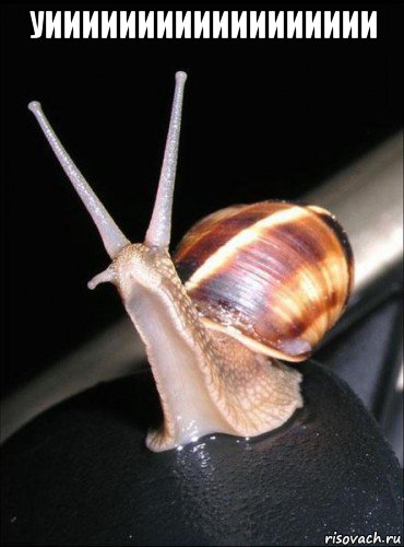 уииииииииииииииииии 