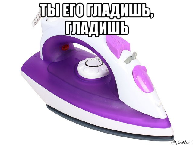 ты его гладишь, гладишь , Мем Утюг