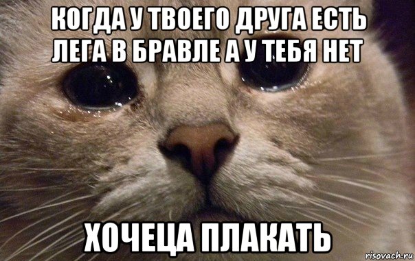 когда у твоего друга есть лега в бравле а у тебя нет хочеца плакать, Мем   В мире грустит один котик