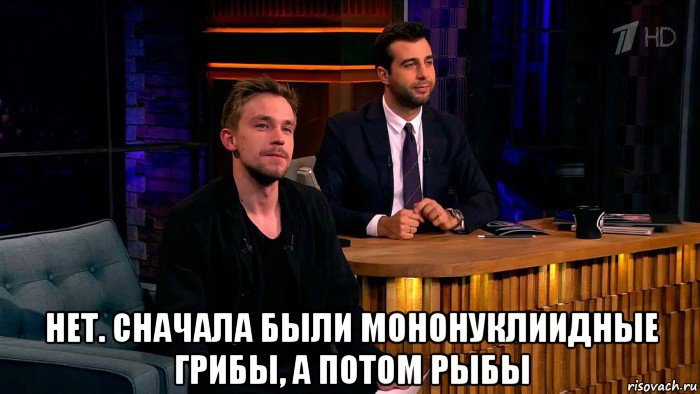  нет. сначала были мононуклиидные грибы, а потом рыбы, Мем Ванечка