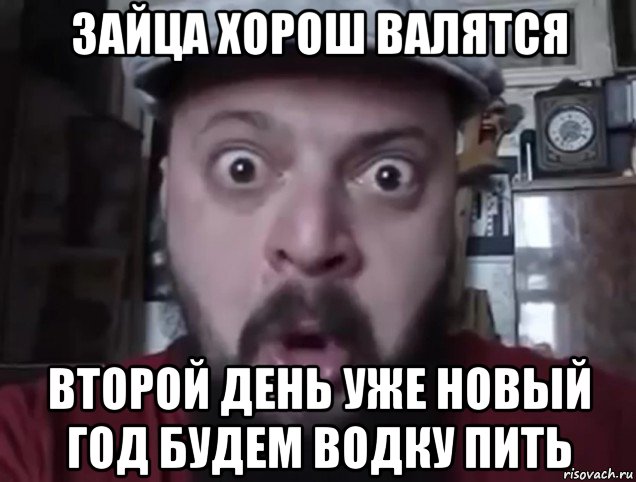 зайца хорош валятся второй день уже новый год будем водку пить