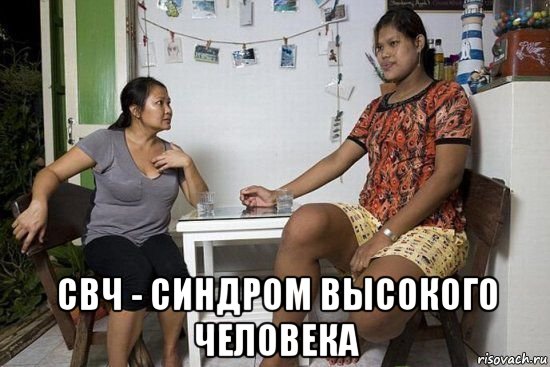  свч - синдром высокого человека, Мем Всё мясо в доме пожрала
