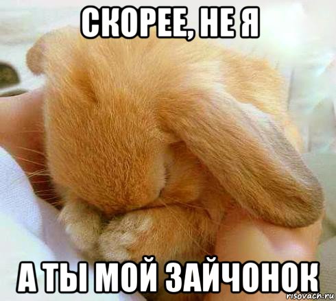 скорее, не я а ты мой зайчонок