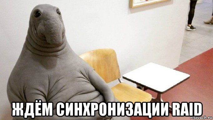  ждём синхронизации raid