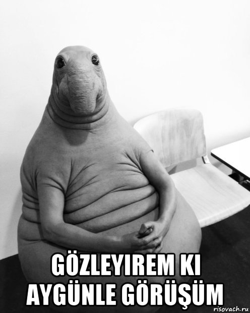  gözleyirem ki aygünle görüşüm, Мем  Ждун