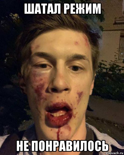 шатал режим не понравилось, Мем Жуков