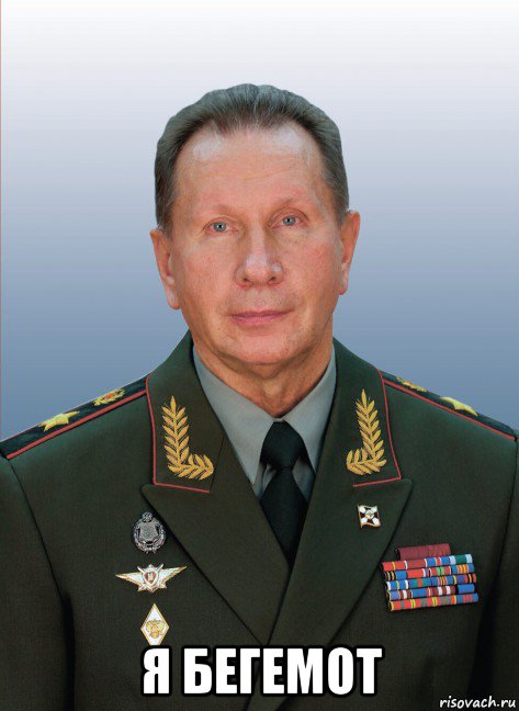  я бегемот, Мем Золотов