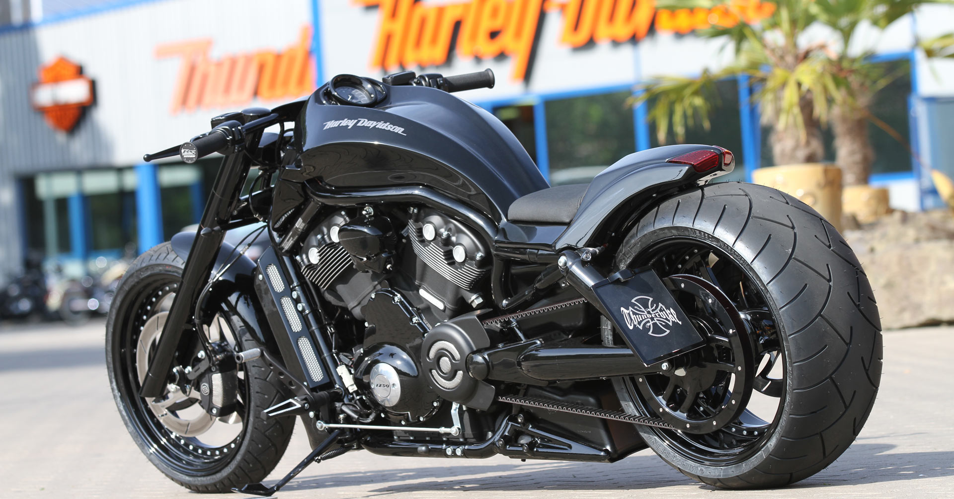 2025 Harley Vrod Faris Ddox