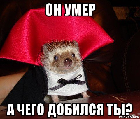 он умер а чего добился ты?