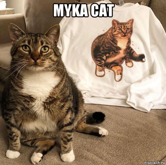 myka cat , Мем Aarianthegreataarianthepucci