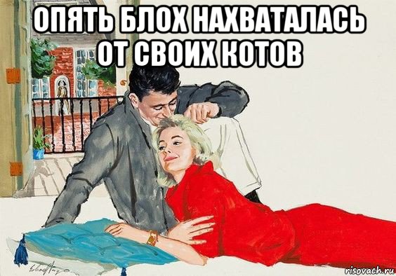 опять блох нахваталась от своих котов , Мем АЛЬБОМ