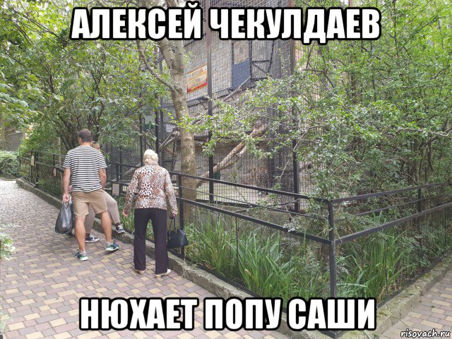 алексей чекулдаев нюхает попу саши, Мем Бабка кродется