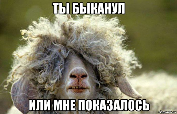 ты быканул или мне показалось