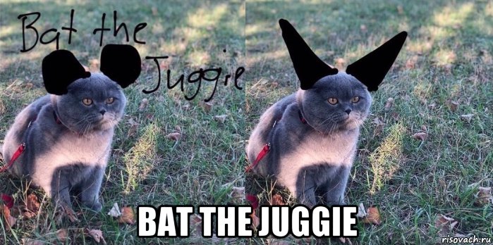  bat the juggie, Мем Baton the Cat