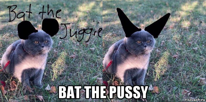  bat the pussy, Мем Baton the Cat