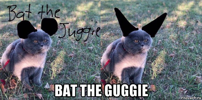  bat the guggie, Мем Baton the Cat