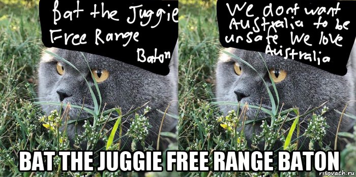  bat the juggie free range baton, Мем Baton the Cat