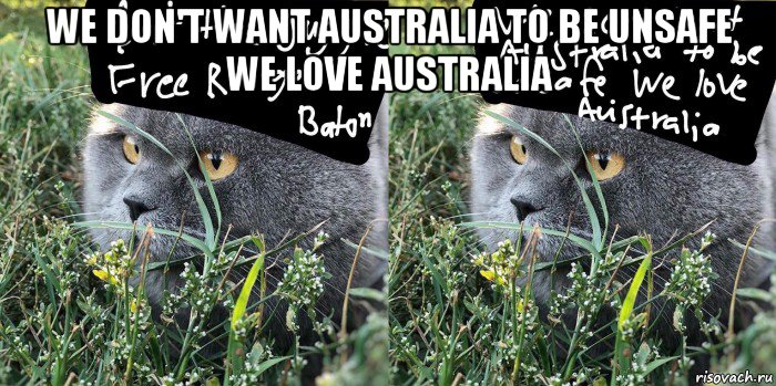 we don't want australia to be unsafe we love australia , Мем Baton the Cat
