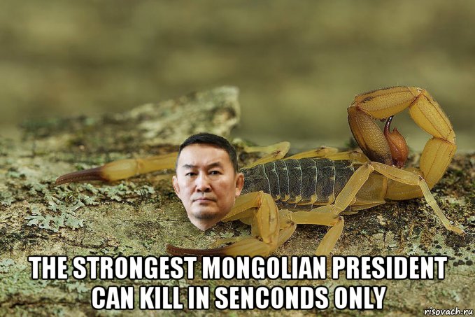  the strongest mongolian president can kill in senconds only, Мем Баттулга скорпион