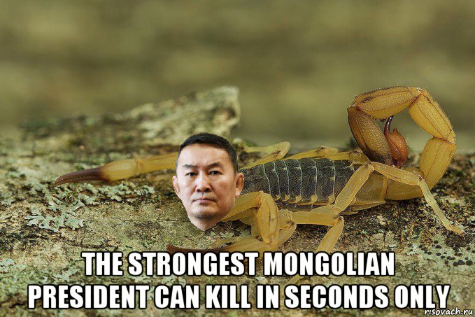  the strongest mongolian president can kill in seconds only, Мем Баттулга скорпион