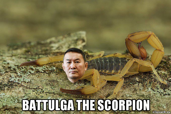  battulga the scorpion, Мем Баттулга скорпион