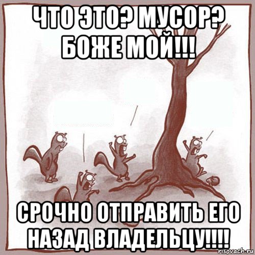 что это? мусор? боже мой!!! срочно отправить его назад владельцу!!!!