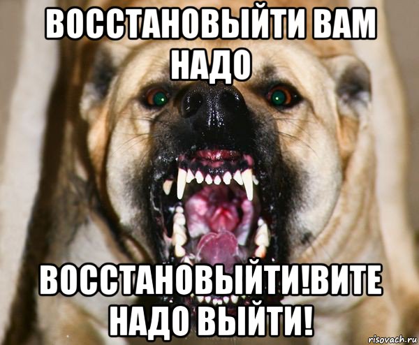 восстановыйти вам надо восстановыйти!вите надо выйти!