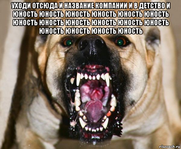 уходи отсюда и название компании и в детство и юность юность юность юность юность юность юность юность юность юность юность юность юность юность юность юность , Мем бешеная собака