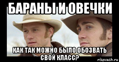 бараны и овечки как так можно было обозвать свой класс?, Мем Безнас