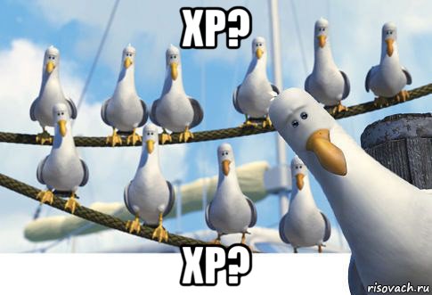 xp? xp?