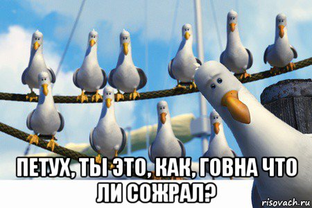  петух, ты это, как, говна что ли сожрал?
