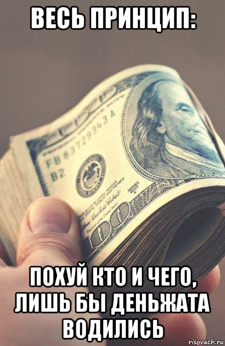 весь принцип: похуй кто и чего, лишь бы деньжата водились, Мем Деньги