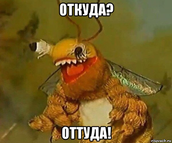 откуда? оттуда!